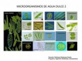 /album/imagenes-para-practicas-de-laboratorio/microrganismos-de-agua-dulce-2-jpg/